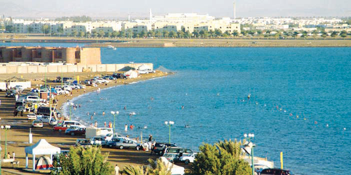 السعوديون يترقبون «الترفيه» 