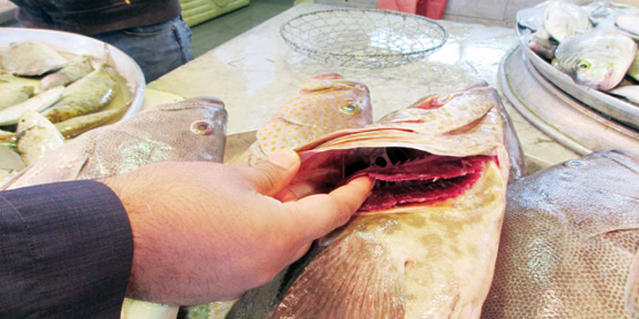  الأسماك التي صادرتها بلدية القطيف