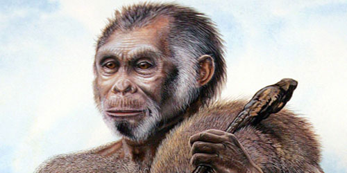 عمر شعب «الهوبيت» الإندونيسي 700 ألف عام 