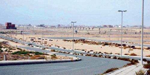 ضمن سعي الوزارة إلى حل المشكلة ووفقاً للاحتياج السكني.. مصادر لـ«الجزيرة»: 