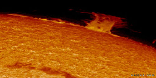 رصد ظهور «شواظ» كبير على سطح الشمس.. ولا خطر على الأرض 