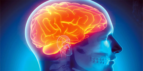 الصوم يقي من الزهايمر 