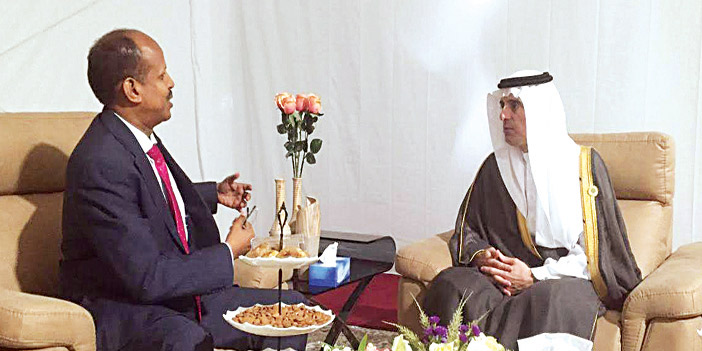  وزير الخارجية يعقد لقاءات ثنائية على هامش أعمال القمة العربية