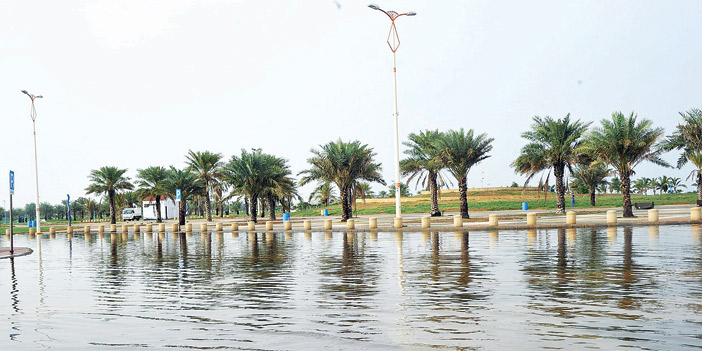  الأمطار تعيق الوصول إلى المتنزهات والحدائق