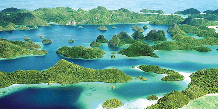 الغوص في جزر الملوك الأربعة في إندونيسيا 