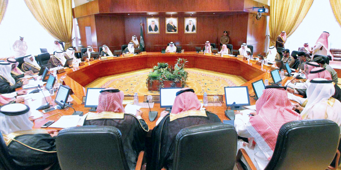   جانب من الاجتماع