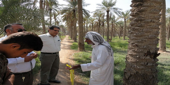 أكدوا امتلاكهم هذه الأراضي من خلال الوثائق والعقود القديمة 