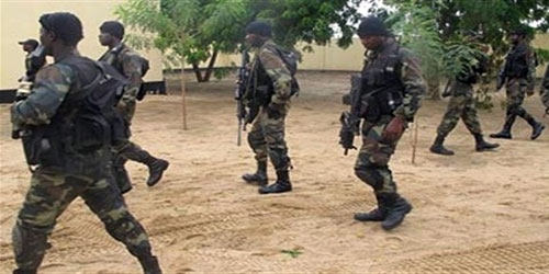 مقتل 27 من أفراد بوكو حرام في الكاميرون 