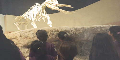  الموهوبات يشاهدن مجسم هيكل ديناصور