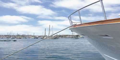  تصوير - خلود العيدان