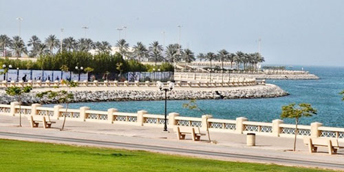 قالوا: إن القطاع الخاص يملك الإمكانات الكافية للتنفيذ..اقتصاديون لـ«الجزيرة»: 