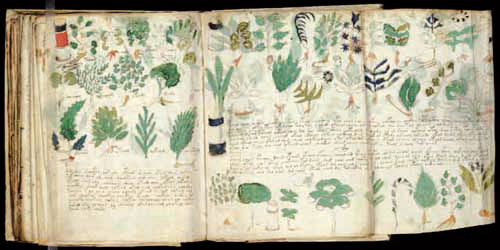 بيع الكتاب الغامض بـ(8) آلاف دولار للنسخة الواحدة 