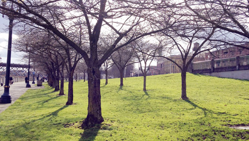  تصوير - خلود العيدان