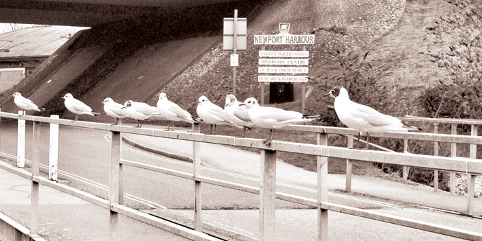  تصوير - خلود العيدان