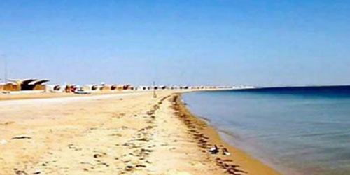 تمديد استقبال عروض الشراء لمساهمة «نصف القمر» 