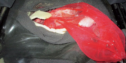 إحباط محاولة تهريب لـ(1000) طير زينة بجمرك جسر الملك فهد 