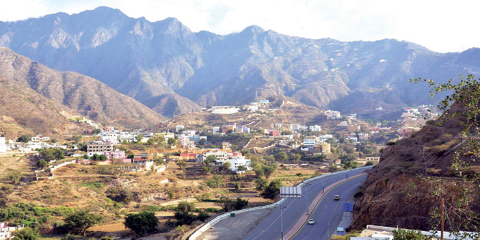 الرواية تتفوق على الأعمال الفكرية.. محمد حسن علوان: 