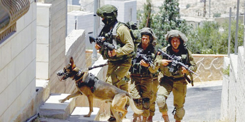  جنود الاحتلال يرهبون الفلسطينيين بالكلاب أثناء اقتحام منازلهم