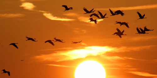 مدارات الفكر 