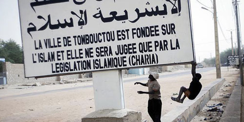 جماعة «أنصار الدين» توافق على وقف إطلاق النار بمالي 