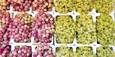 «القصيم» تضخ الفاكهة الشتوية لأسواق المملكة 