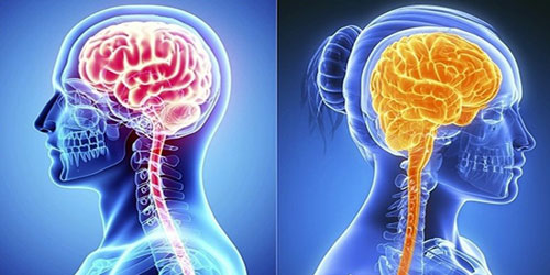 ذاكرة النساء أفضل من الرجال 