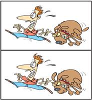 الإختلافات 