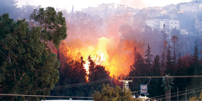   الحرائق تمتد على مساحات واسعة قرب المباني في مدينة حيفا