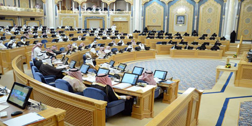 الفهادي: الوضع الحالي يجيز للأجهزة التنفيذية إصدارها وفق رؤيتها 