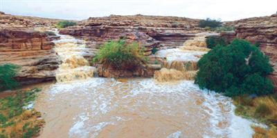 «التعليم»: مدارسنا آمنة من الأمطار.. وقرار التعليق بيد مديري التعليم 