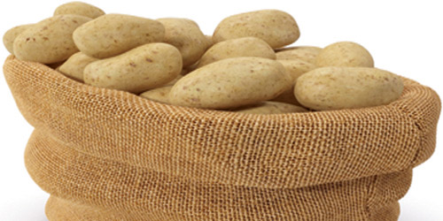 453 عاماً تنقل البطاطس من غذاء المترفين إلى موائد الفقراء 