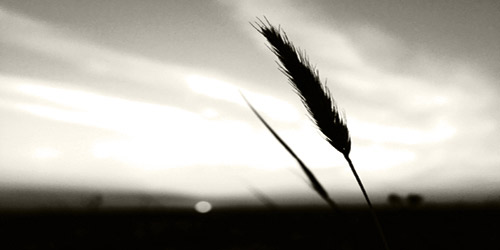  تصوير - مها الزيد