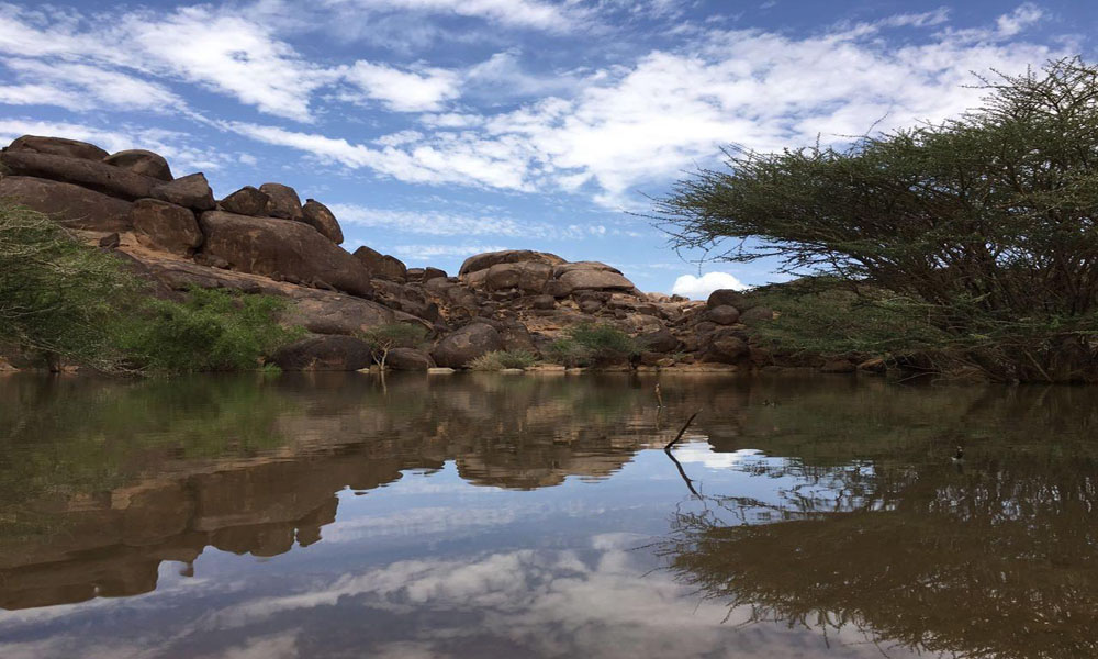 وادي نجران يسقي الربع الخالي بمياه الأمطار