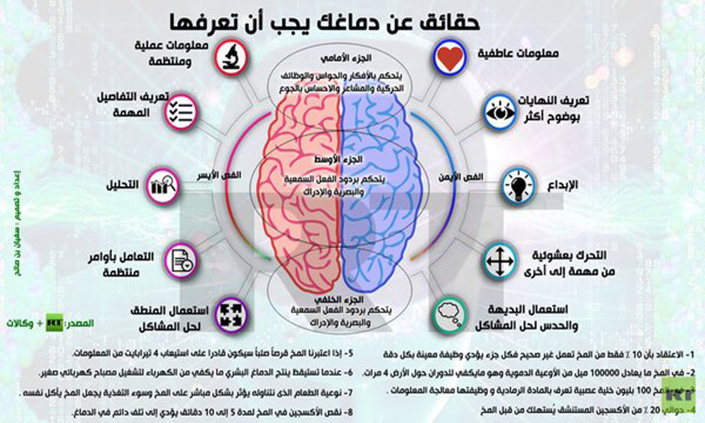 حقائق عن الدماغ