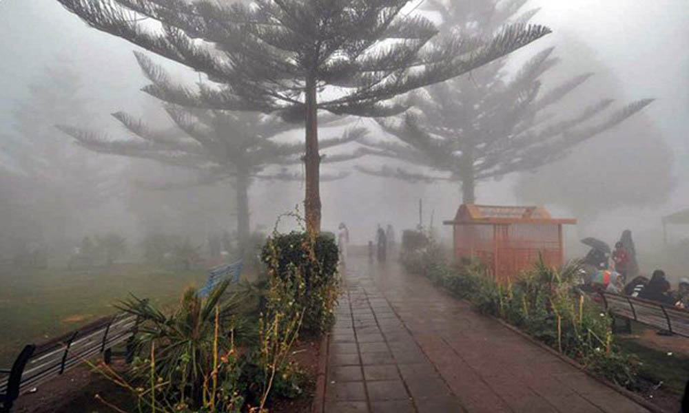 أبها.. مدينة الضباب والغيوم والمطر
