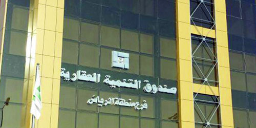 من خلال استحداث برامج عدة.. مصادر في الصندوق لـ«الجزيرة»: 