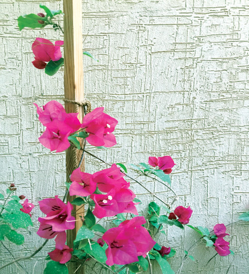  تصوير - خلود العيدان