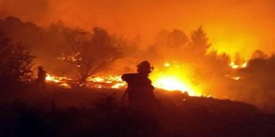 ارتفاع حصيلة ضحايا حرائق الغابات في تشيلي إلى 11 شخصاً 