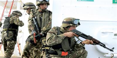 مقتل 3 إرهابيين في كمين للجيش جنوب شرق الجزائر 