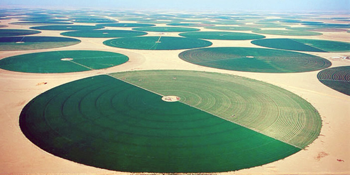 ابن ذيب مدير مديرية الزراعة: وادي الدواسر سلة من سلال الغذاء بالمملكة 