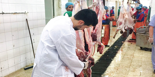 (5) ورش لرفع مستوى أداء الأطباء البيطريين في فحص اللحوم والتعامل مع الأمراض الوبائية 