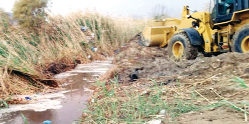  من جهود الأمانة