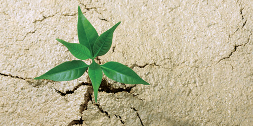 إذا اليأس أورق ...كان الغرق !! 