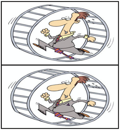 الإختلافات 