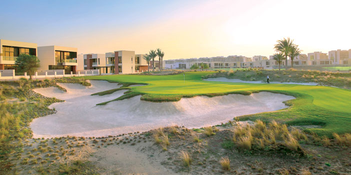  فلل شركة داماك