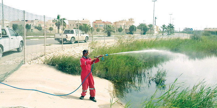  عمال البلدية أثناء الرش