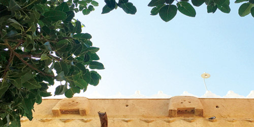  تصوير خلود العيدان