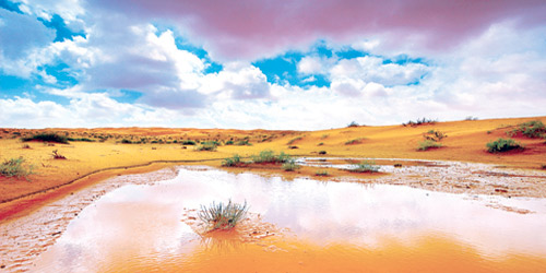  جمال الطبيعة في نفود صعافيق