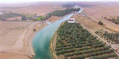 وادي المشقر في المجمعة.. يبسط كَفَّيْ الجَمال والماء على ضفاف سدير 