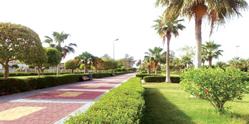  إحدى الحدائق التي تم إنشاؤها